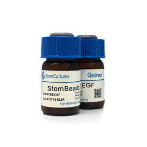 StemBeads® Qkine EGF
