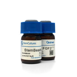 StemBeads® Qkine FGF-2 154 aa