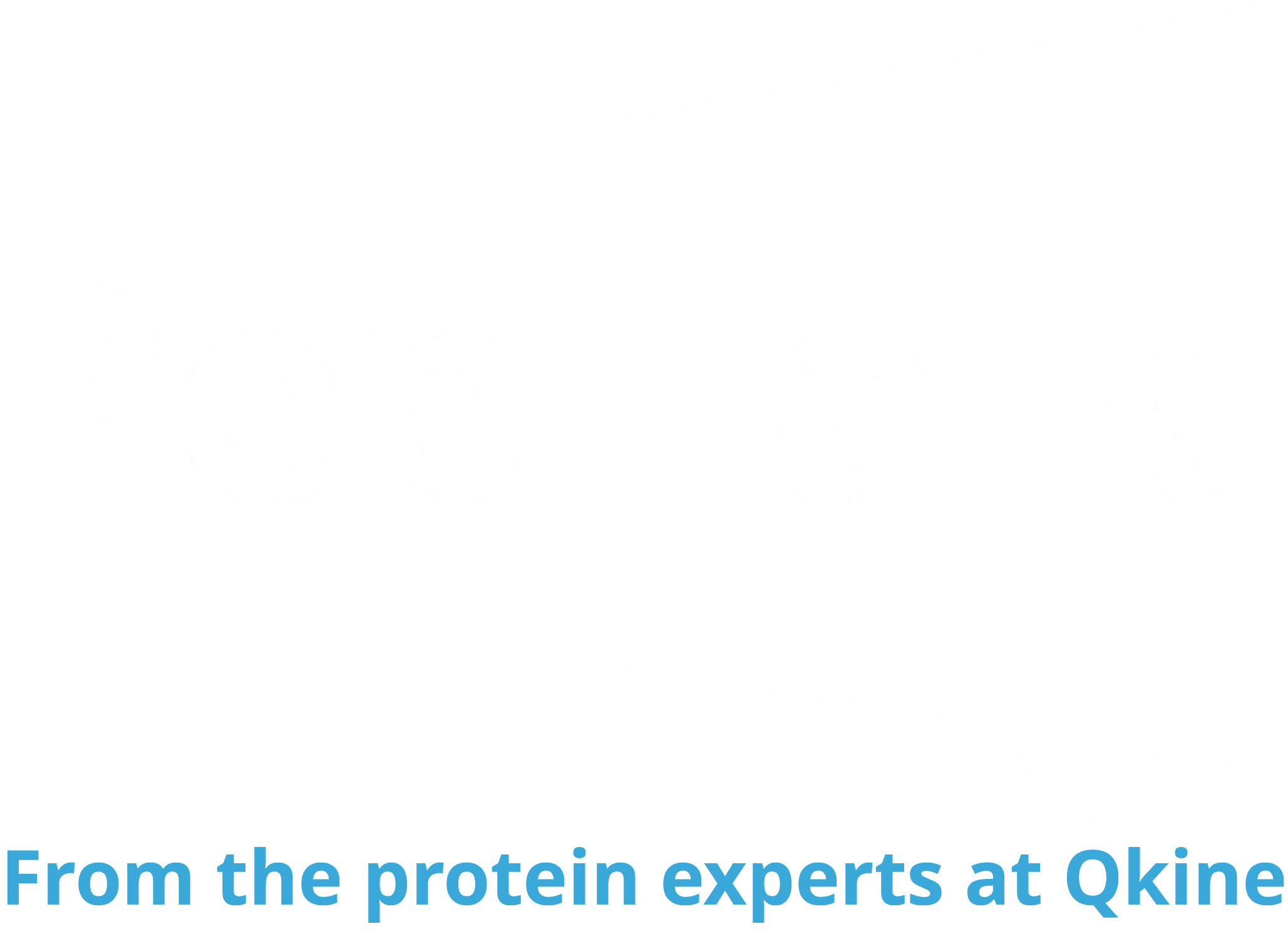 Pep talk logo v1.5 white for dark backgorund Pep talk logo v1.5 white for dark backgorund