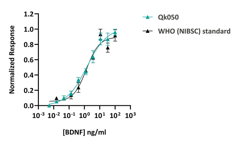 20250923 BDNF WHO comparison bioassay 20250923 BDNF WHO comparison bioassay