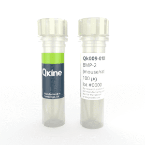 Recombinant mouse/rat BMP-2 protein (Qk009)