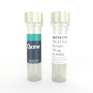 Recombinant human TGF-β1 PLUS™ protein (Qk010-CTG)