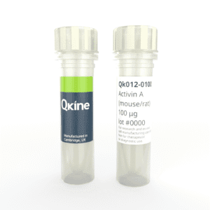 Recombinant mouse/rat activin A protein (Qk012)