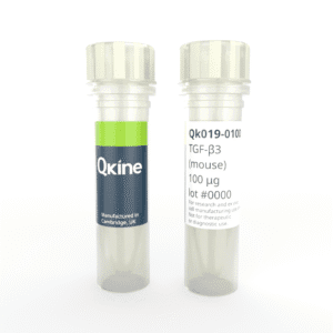 Recombinant mouse TGF-β3 protein (Qk019)