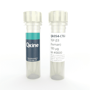 Recombinant human TGF-β3 protein (Qk054-CTG)