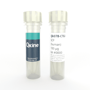 Recombinant human SCF protein (Qk078-CTG)