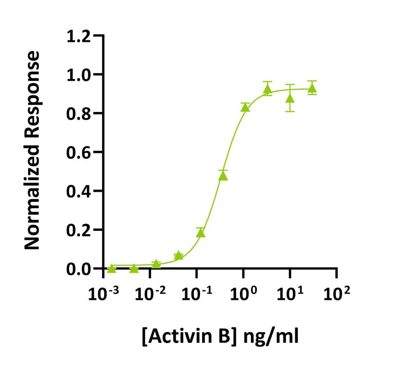 20260119 Activin B bioassay datasheet activin B bioactivity