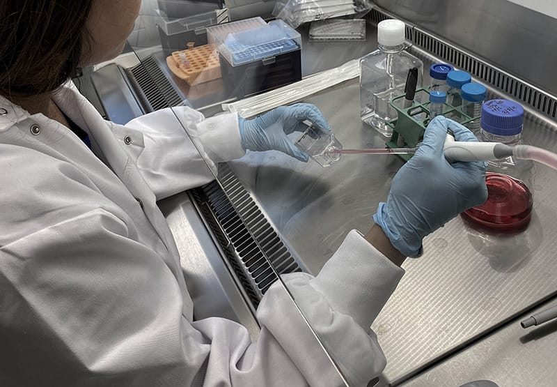 Cell culture 800x555 Cell culture 800x555