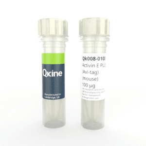 Recombinant mouse activin E PLUS™ (Avi-tag) protein (Qk008)