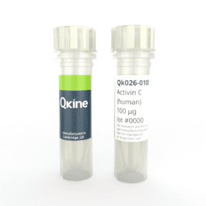Recombinant human activin C protein (Qk026)