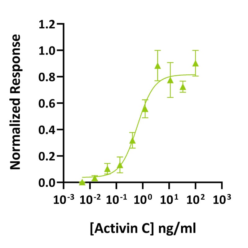 Qk026 activin C bioactivity Qk026 activin C bioactivity