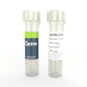 Recombinant human activin E PLUS™ (Avi-tag) protein (Qk082)