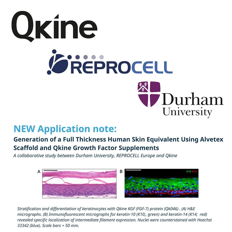 Qkine Reprocell 800 Qkine Reprocell 800