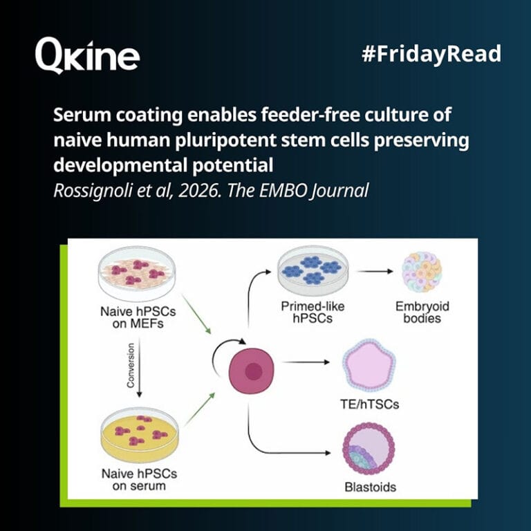 #FridayRead 10 April 2026