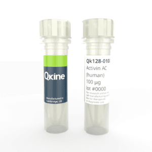 Recombinant human activin AC protein (Qk128)